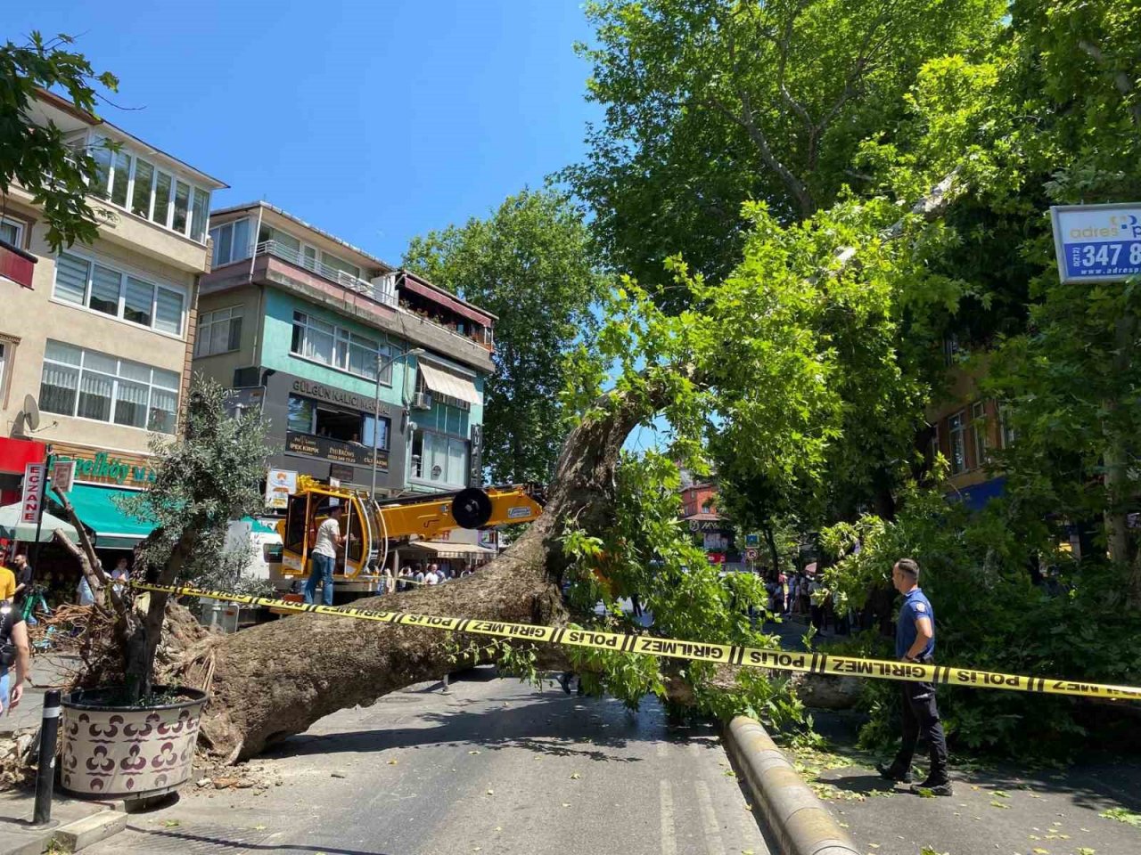 Üsküdar’da asırlık çınar ağacının caddeye devrilmesi kameraya yansıdı