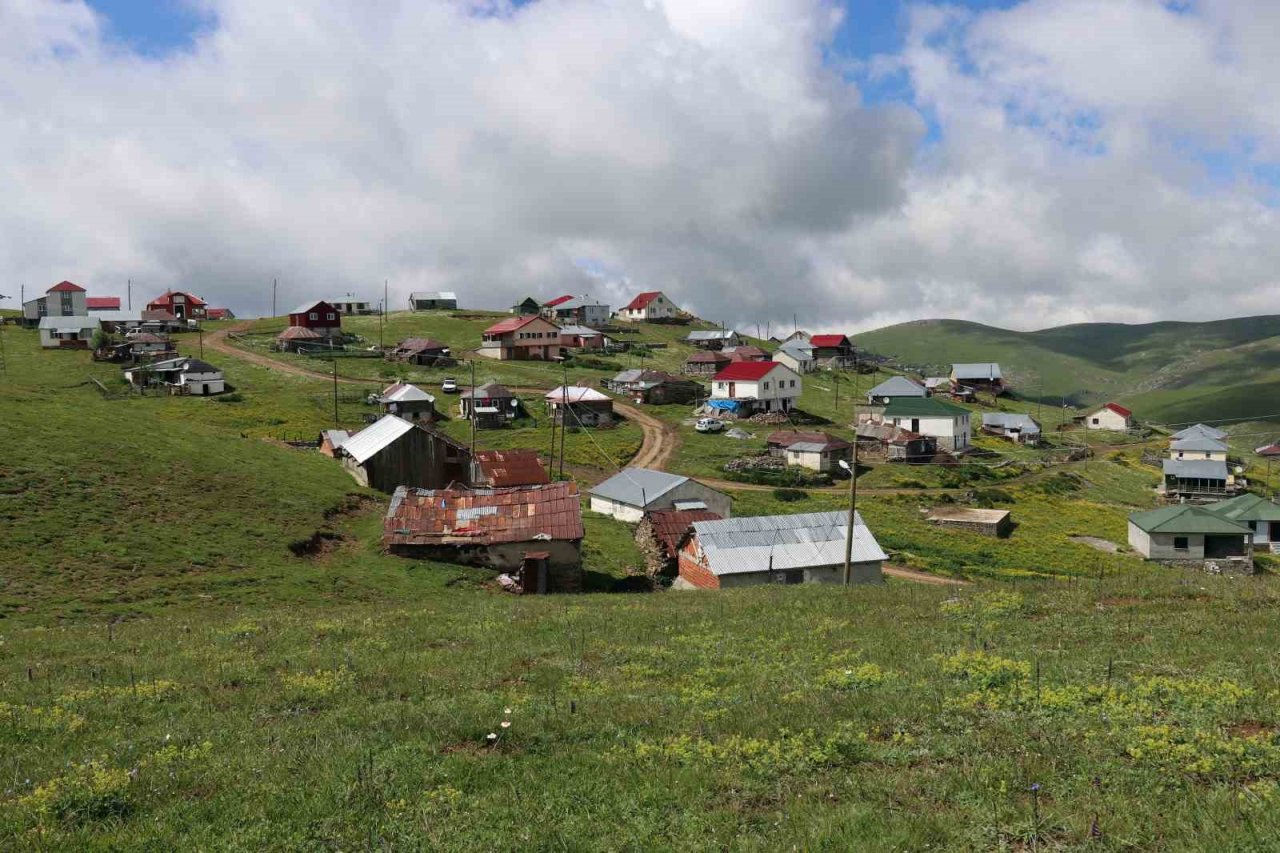 Gümüşhane’de ayı tehdidine Karadeniz usulü çözüm