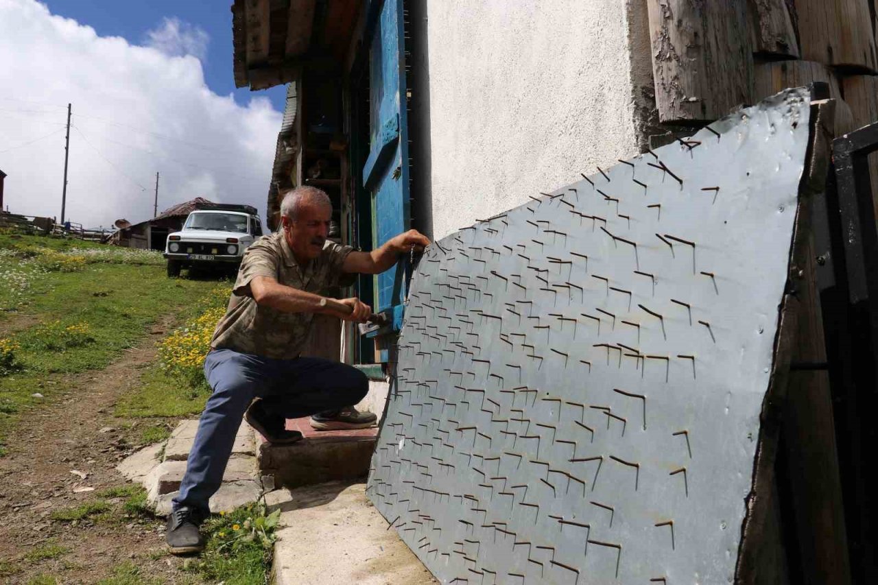 Gümüşhane’de ayı tehdidine Karadeniz usulü çözüm