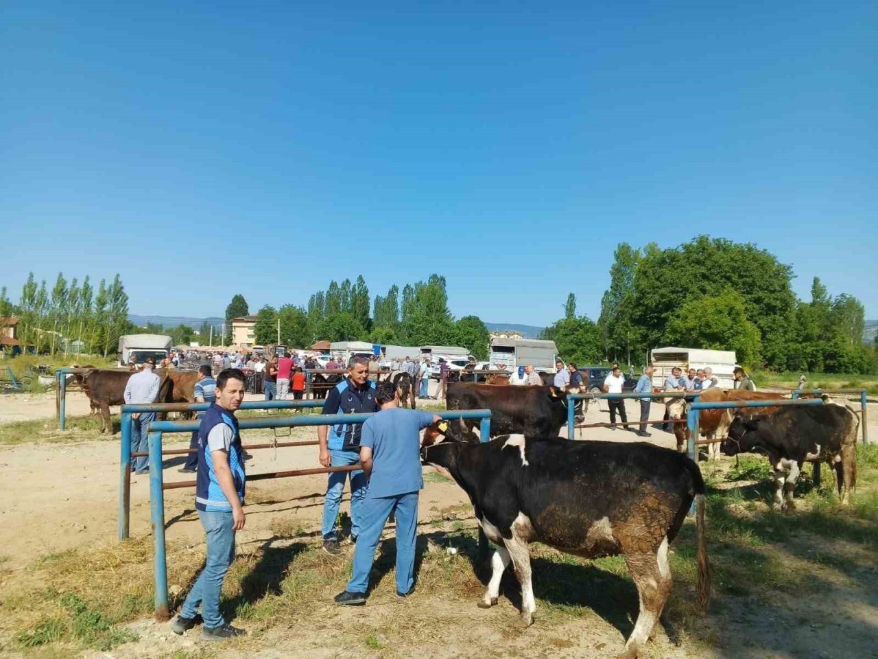 Hisarcık’ta zabıta ekiplerinden kurban satış yerlerinde denetim