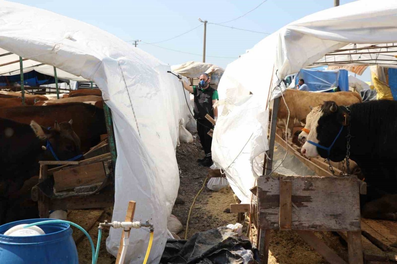 Kurban pazar yerleri ilaçlanıyor