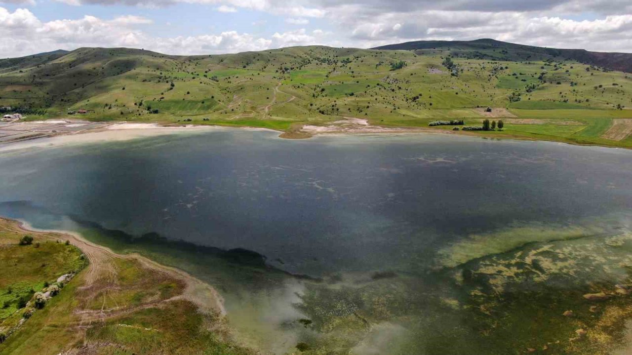 Kuraklık geride kaldı, su tutan kuş cenneti şimdi misafirlerini bekliyor