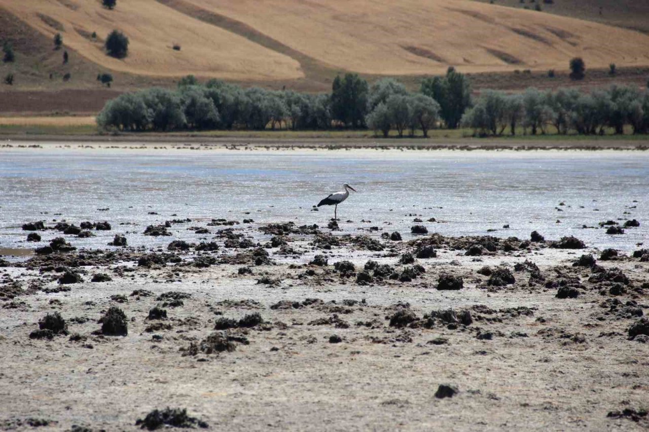 Kuraklık geride kaldı, su tutan kuş cenneti şimdi misafirlerini bekliyor
