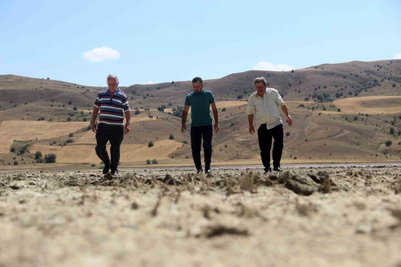 Kuraklık geride kaldı, su tutan kuş cenneti şimdi misafirlerini bekliyor