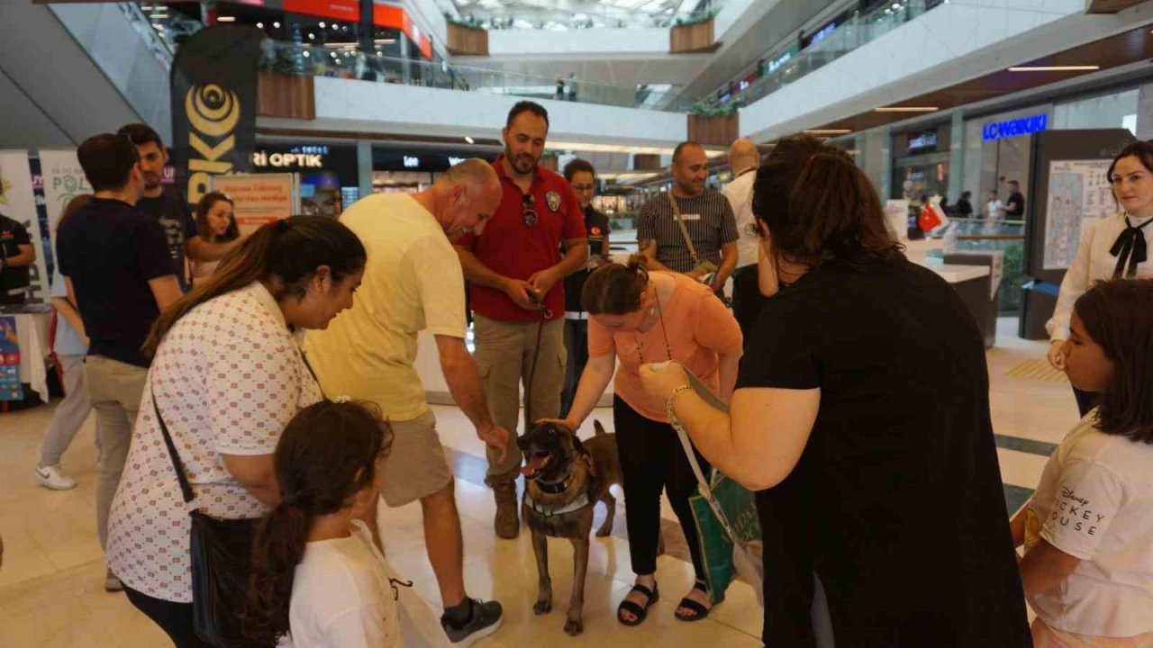 Narkotik köpeği ’Kongar’ ilgi odağı oldu
