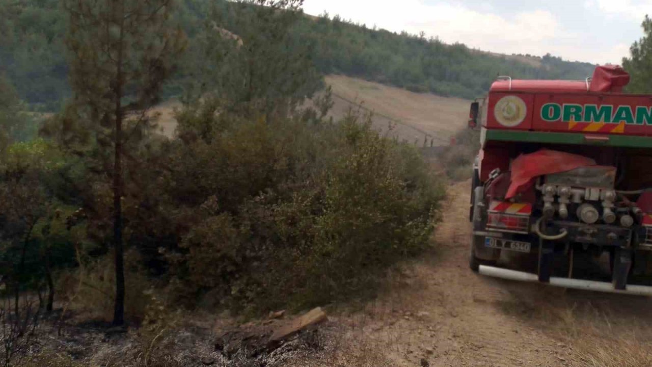 Anız yangını ormana sıçradı