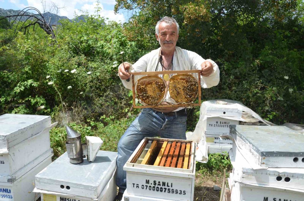 Antalya’da arı kovanlarının yeni adresi bin 960 metre rakımlı yaylalar