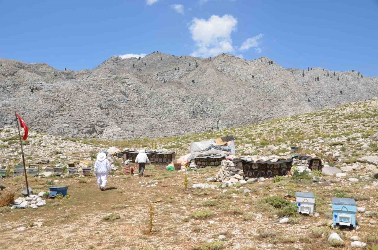 Antalya’da arı kovanlarının yeni adresi bin 960 metre rakımlı yaylalar