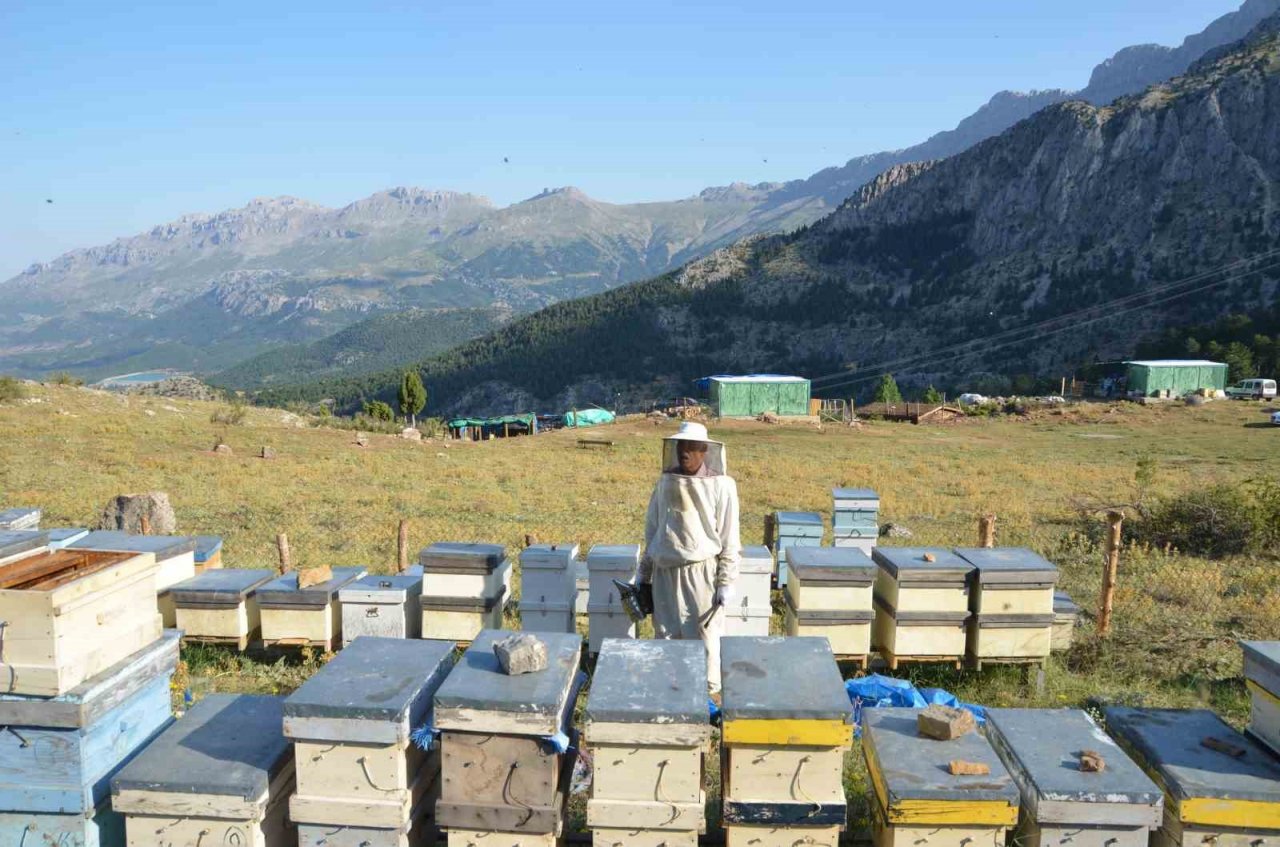 Antalya’da arı kovanlarının yeni adresi bin 960 metre rakımlı yaylalar