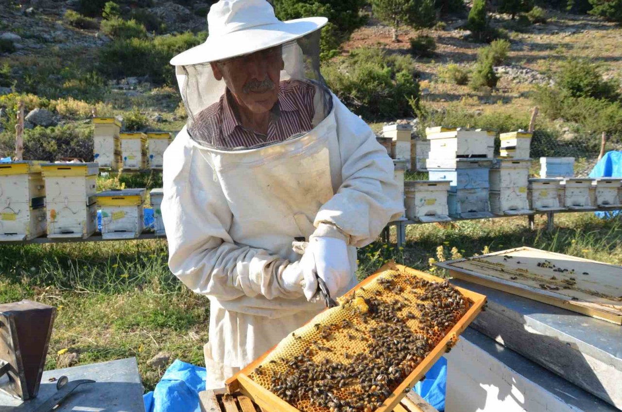 Antalya’da arı kovanlarının yeni adresi bin 960 metre rakımlı yaylalar