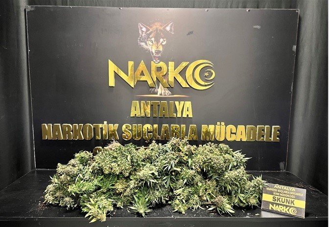 Antalya’da uyuşturucu tacirlerine operasyon: 26 tutuklama