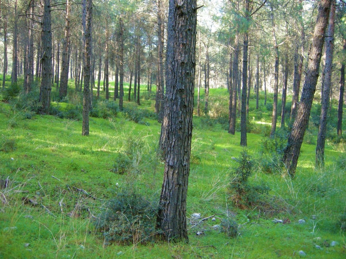 EKODOSD, vatandaşları yangınlara karşı uyardı