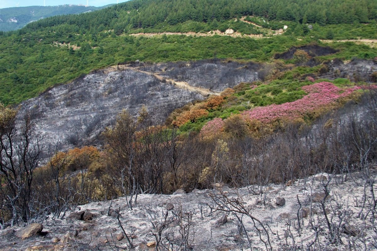 EKODOSD, vatandaşları yangınlara karşı uyardı