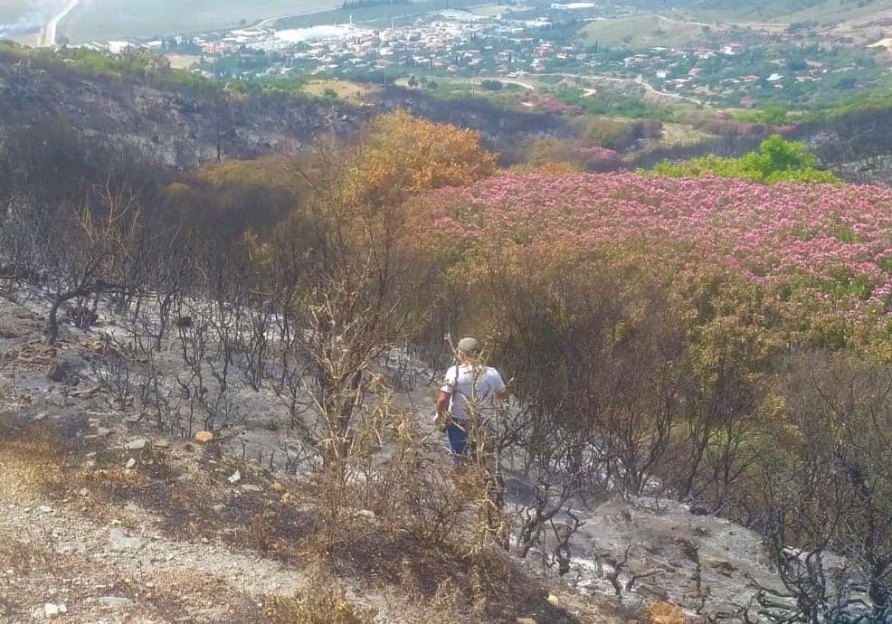 EKODOSD, vatandaşları yangınlara karşı uyardı