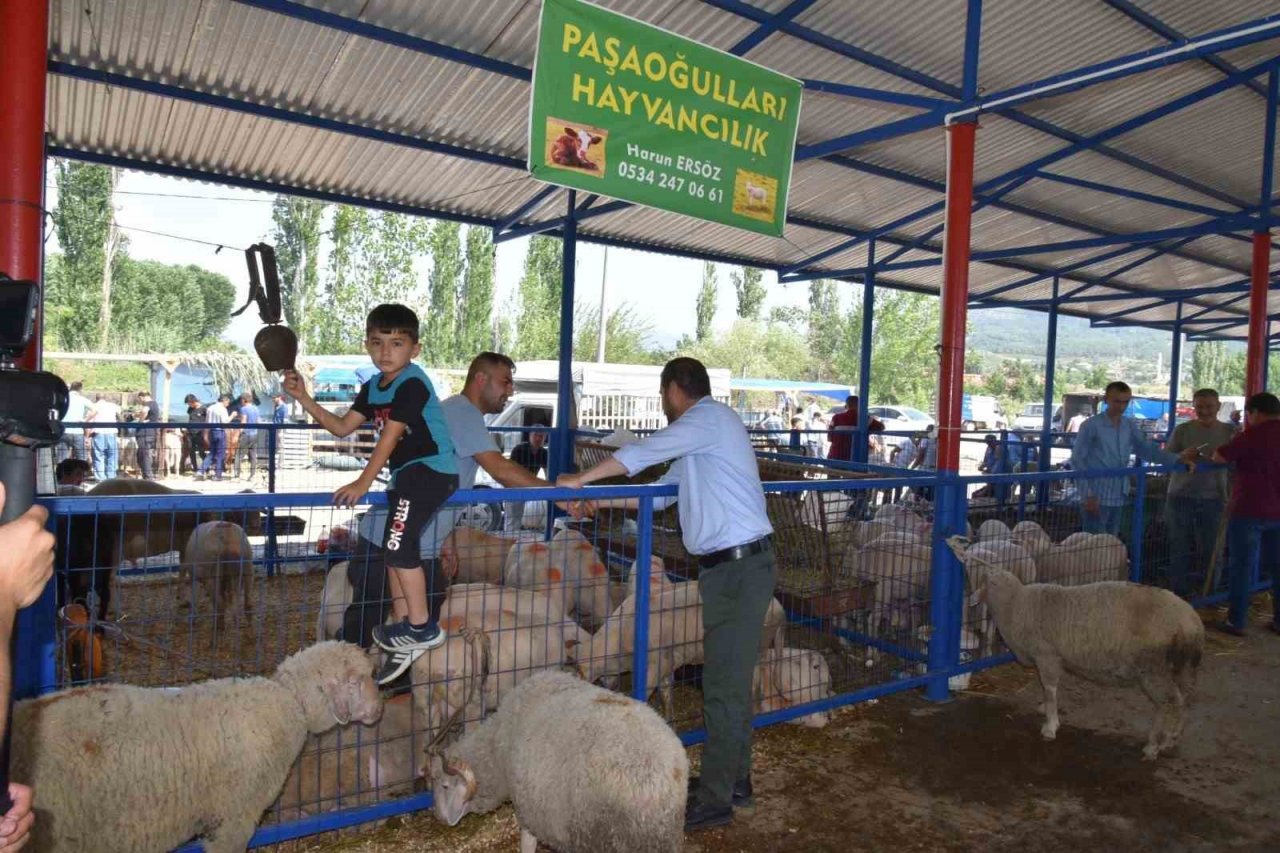 Sındırgı’da kurban pazarı panayır alanında