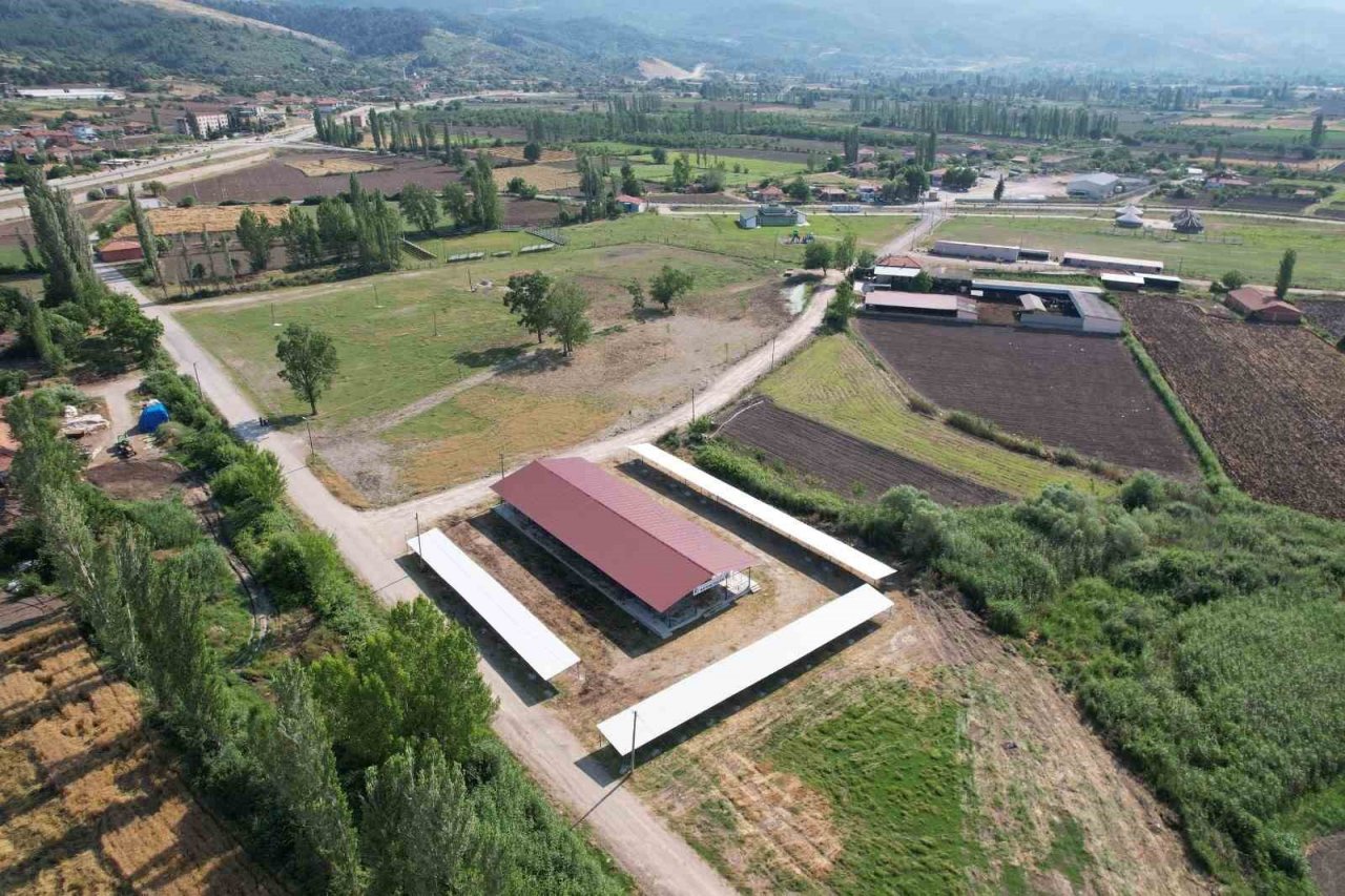 Sındırgı’da kurban pazarı panayır alanında