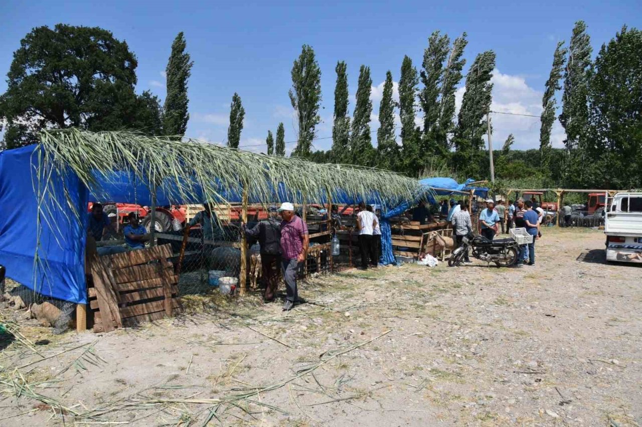 Sındırgı’da kurban pazarı panayır alanında