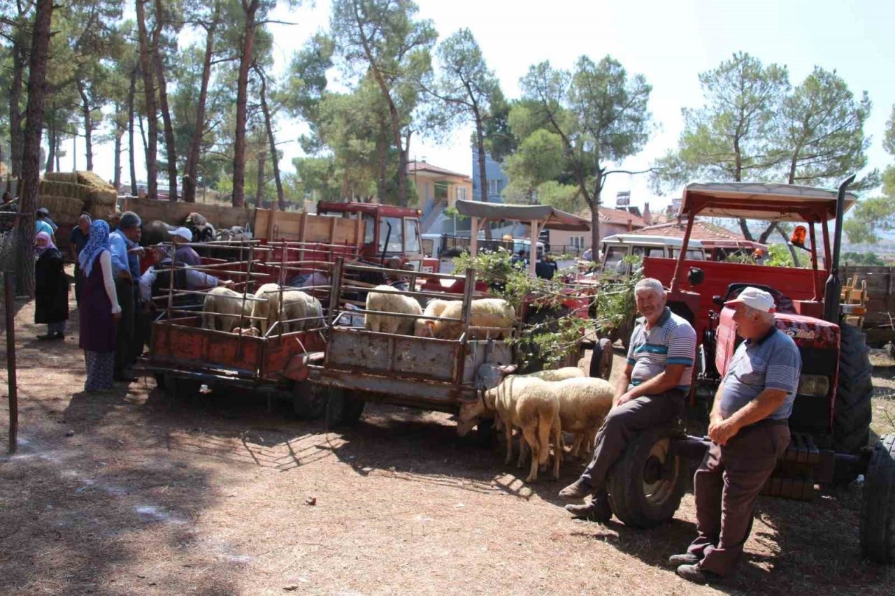 Sındırgı’da kurban pazarı panayır alanında