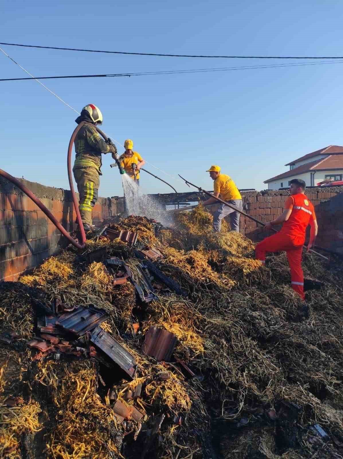 Bursa’da çiftlikte korkutan yangın