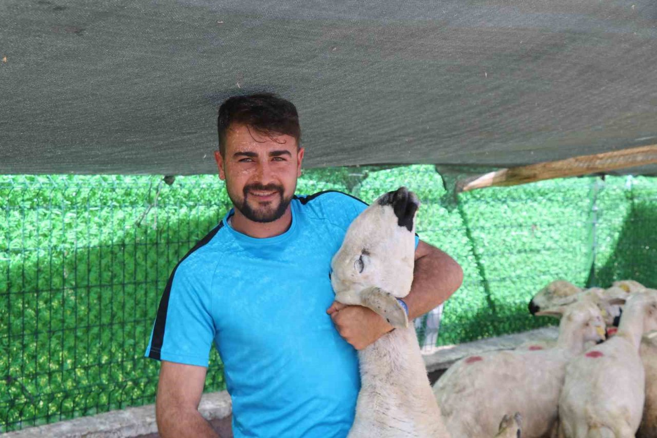 Kırşehir’de otomobil fiyatına kurbanlık