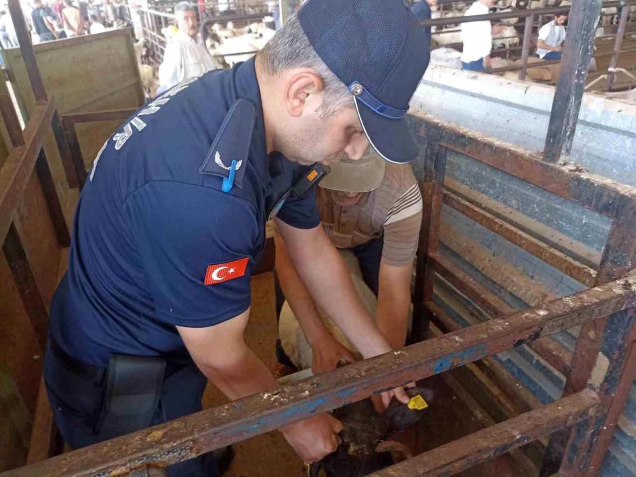 Zabıta ekipleri kurban bayramı öncesi denetimlere aralıksız devam ediyor