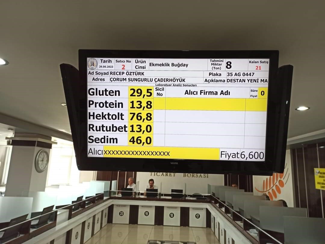 Sungurlu’da ilk buğday borsaya geldi