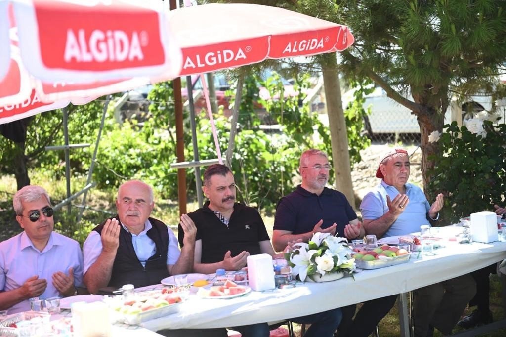 Ulu çınarları buluşturan gelenek