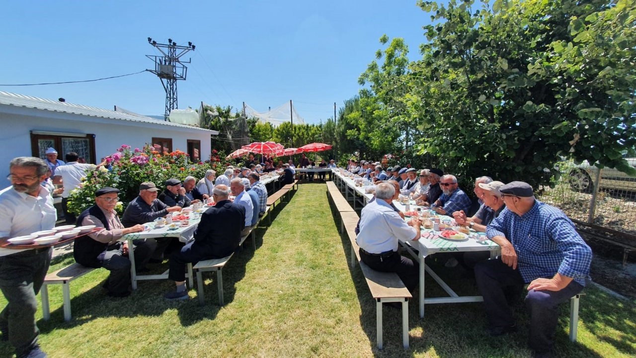 Ulu çınarları buluşturan gelenek