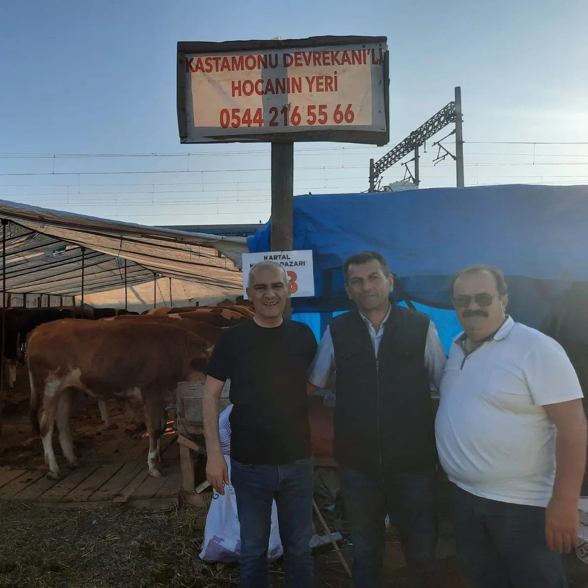 Başkan Altıkulaç: "İstanbul’a sevk edilen kurbanlıkların yüzde 60’ı satıldı"