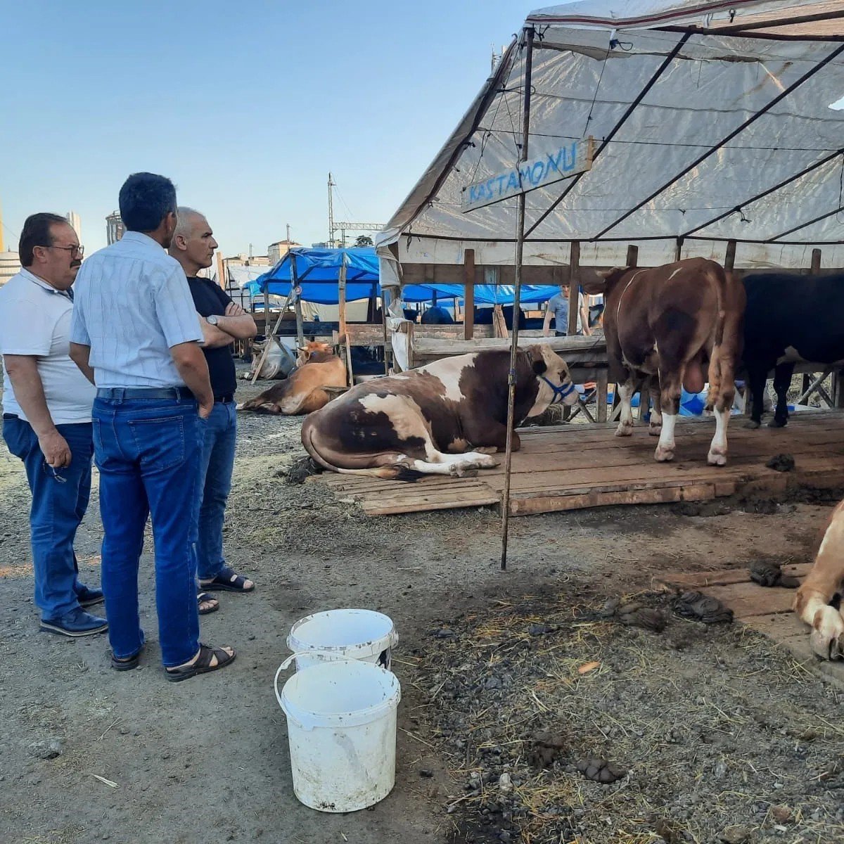 Başkan Altıkulaç: "İstanbul’a sevk edilen kurbanlıkların yüzde 60’ı satıldı"