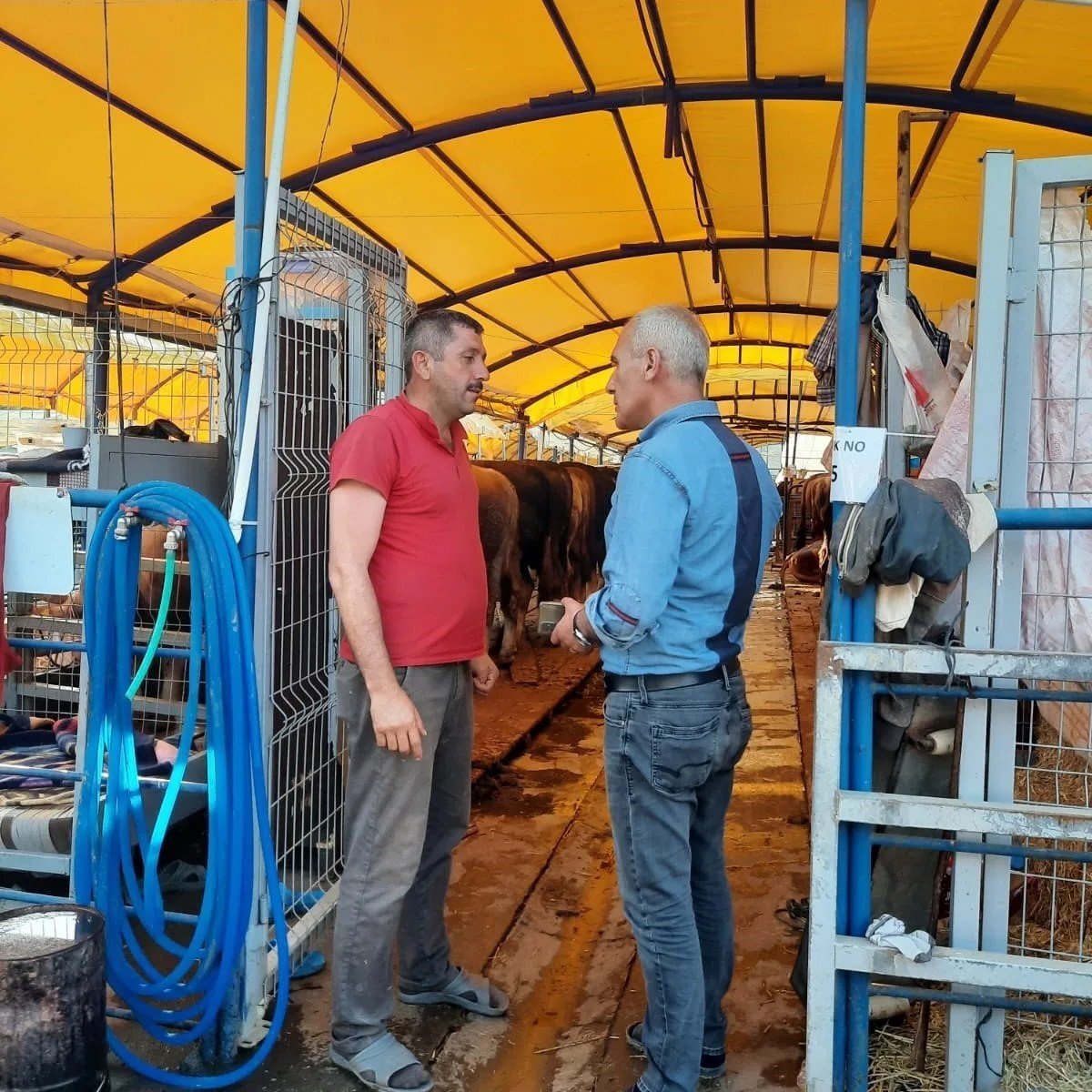 Başkan Altıkulaç: "İstanbul’a sevk edilen kurbanlıkların yüzde 60’ı satıldı"