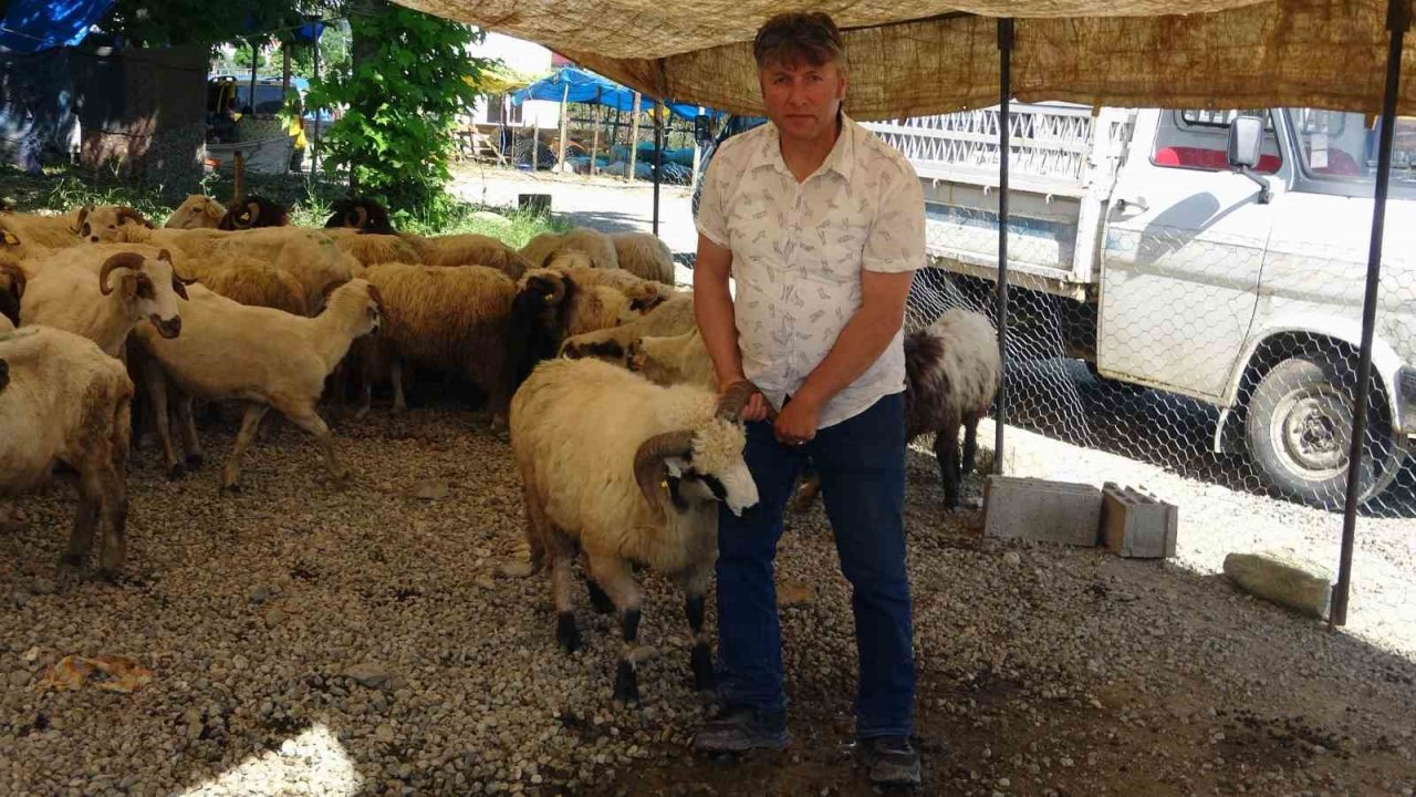 Kurban pazarındaki satıcılar, mandıra ve internet üzerinden yapılan kurban satışlarından dertli