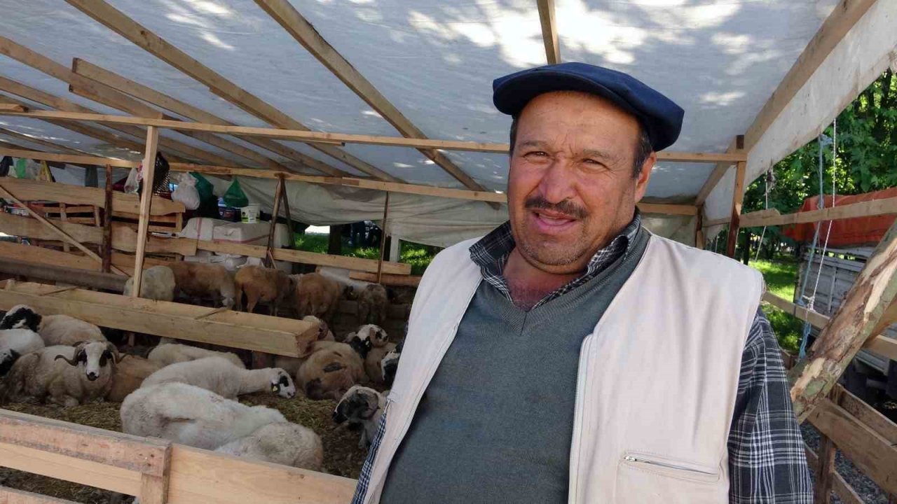 Kurban pazarındaki satıcılar, mandıra ve internet üzerinden yapılan kurban satışlarından dertli