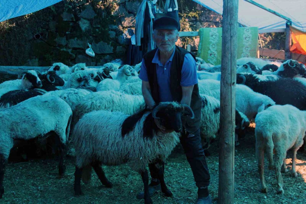 Kurban pazarındaki satıcılar, mandıra ve internet üzerinden yapılan kurban satışlarından dertli