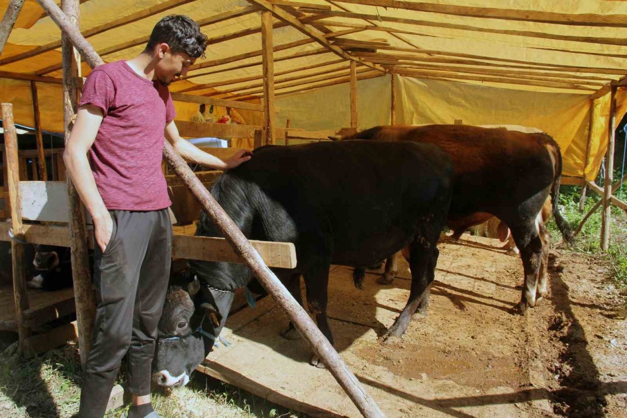 Kurban pazarındaki satıcılar, mandıra ve internet üzerinden yapılan kurban satışlarından dertli