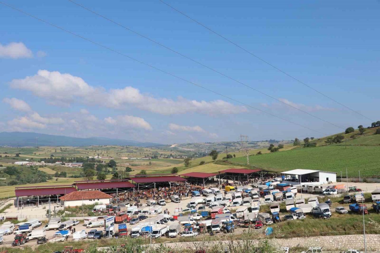 Havza bayrama hazır