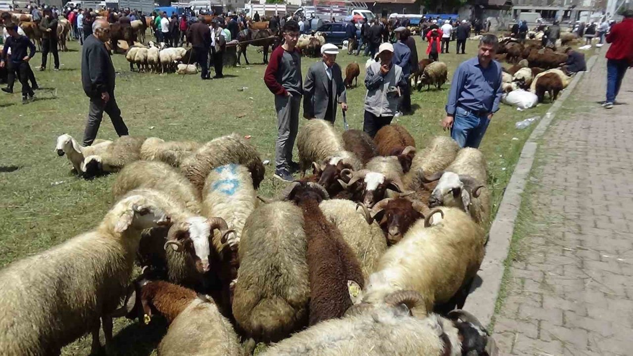 Kars’ta kurbanlık çok, alan yok