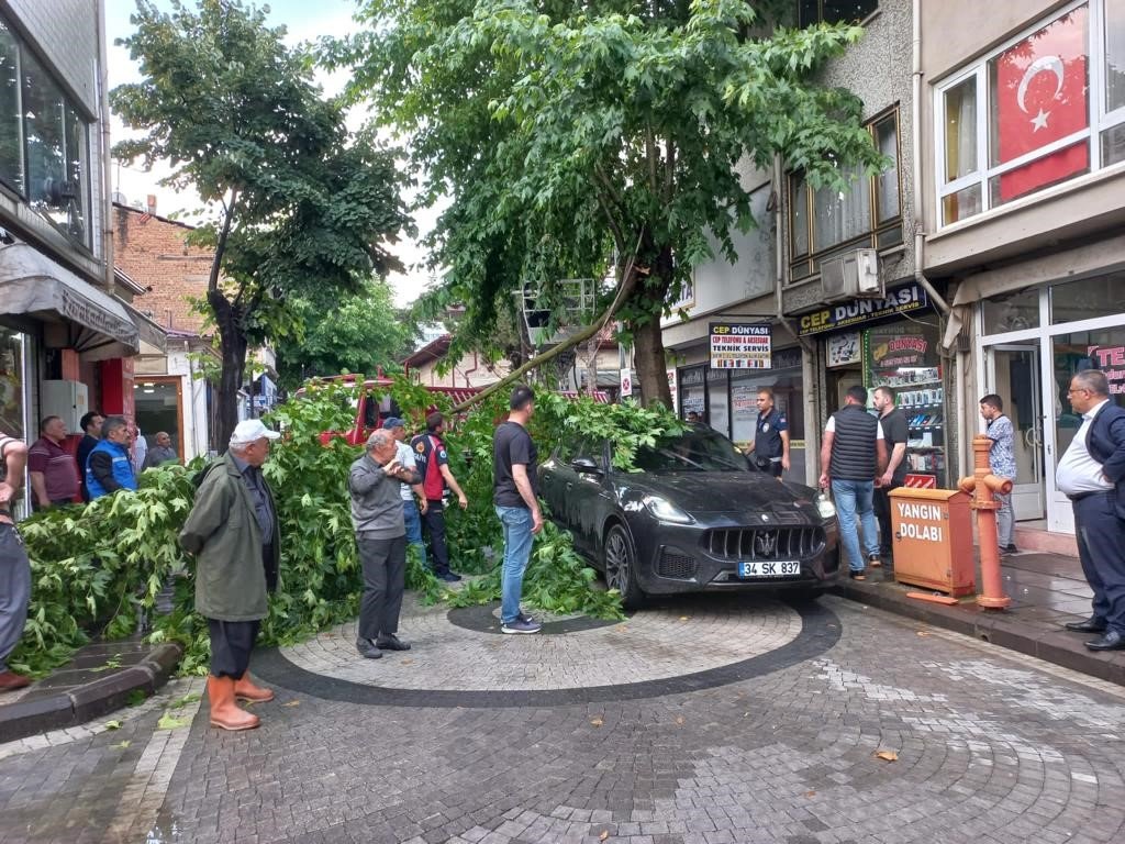 Şiddetli rüzgarda kırılan ağaç dalı, lüks otomobilin üzerine düştü