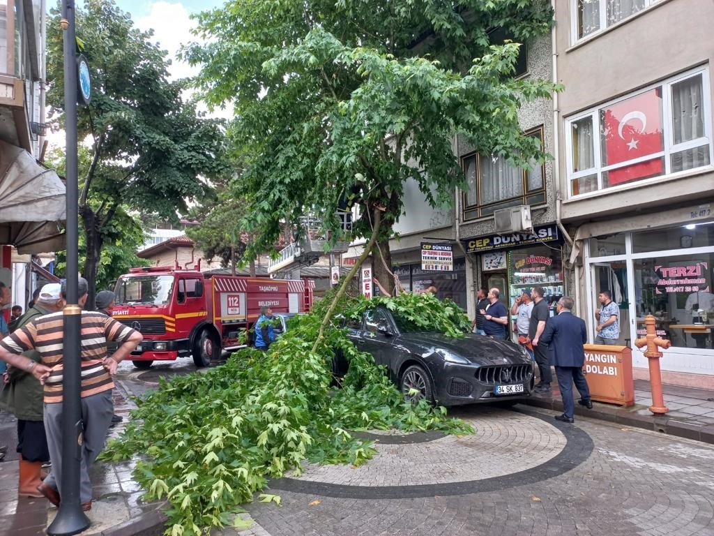 Şiddetli rüzgarda kırılan ağaç dalı, lüks otomobilin üzerine düştü
