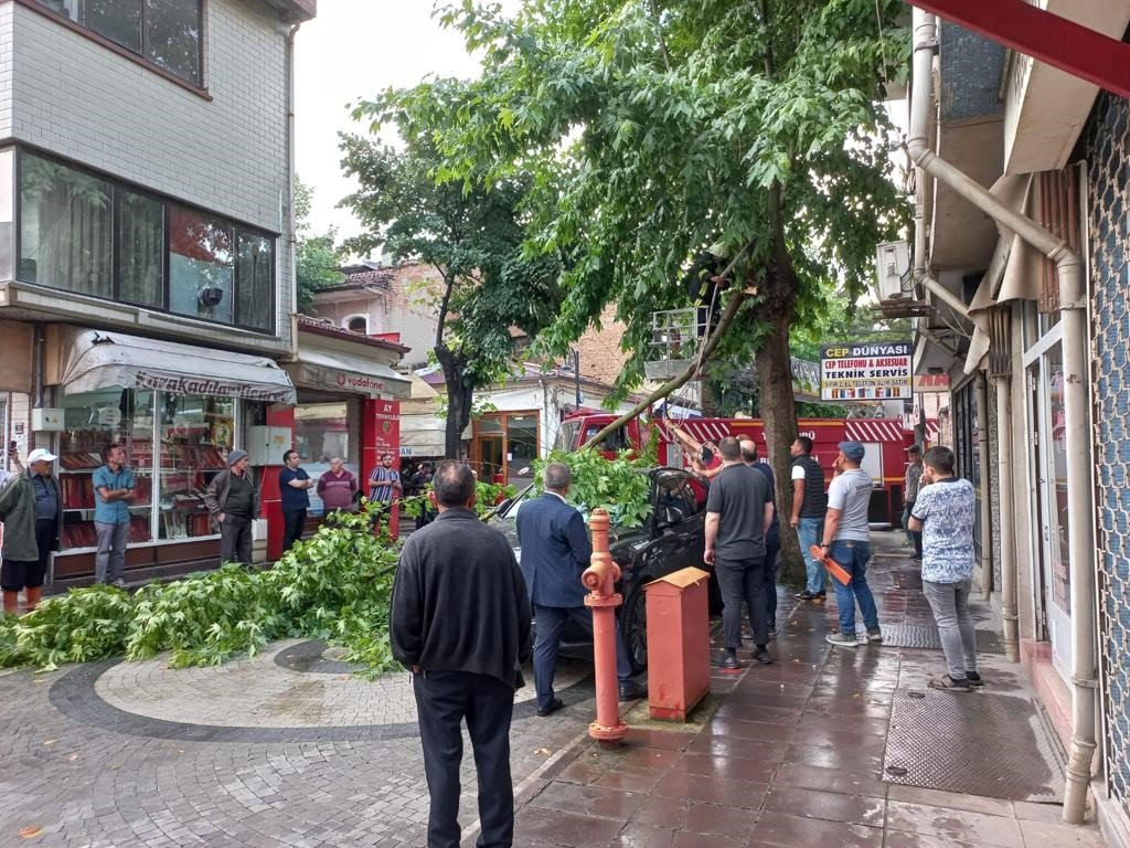 Şiddetli rüzgarda kırılan ağaç dalı, lüks otomobilin üzerine düştü