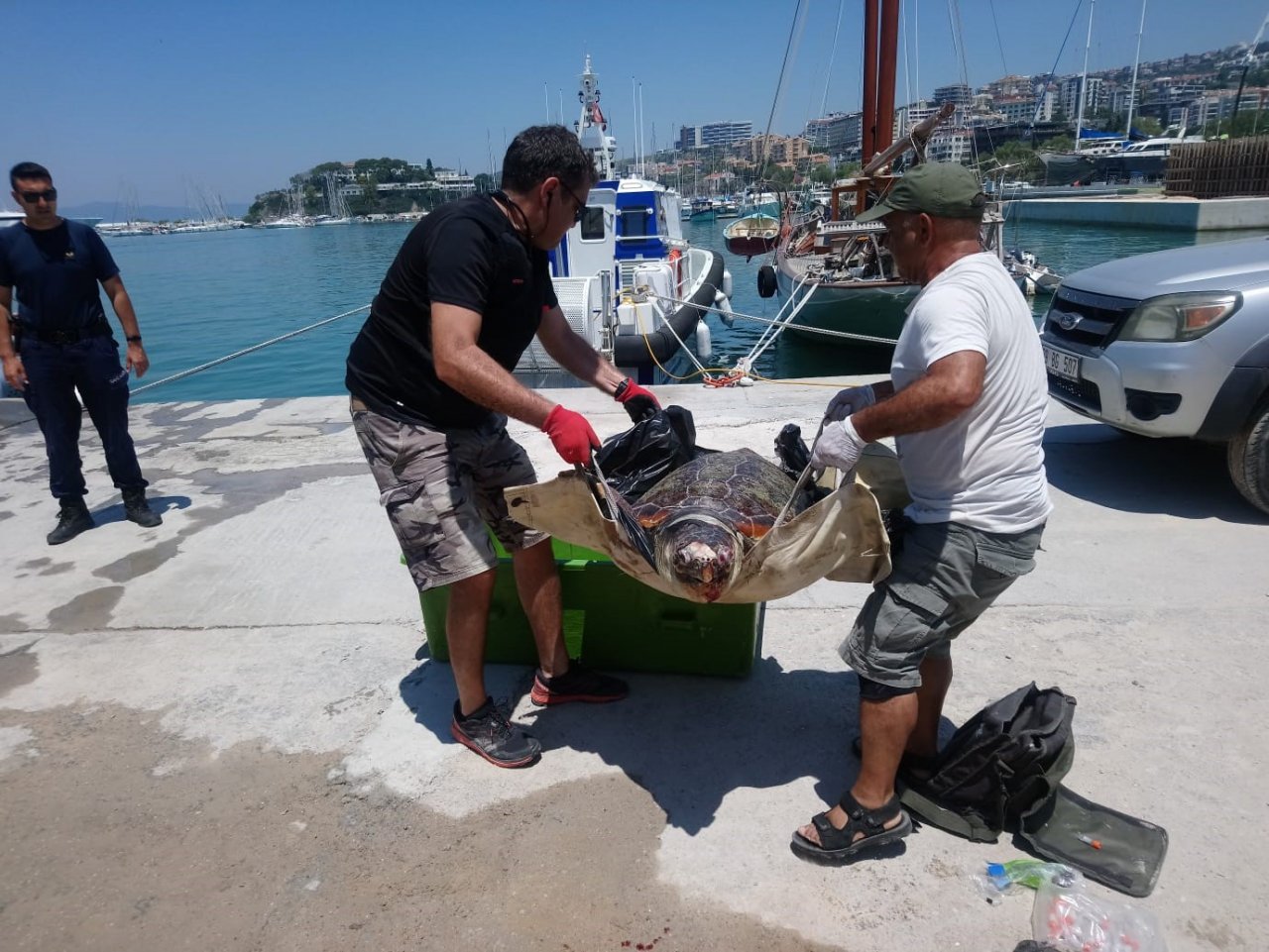 Kuşadası’nda deniz kaplumbağası ölü olarak bulundu