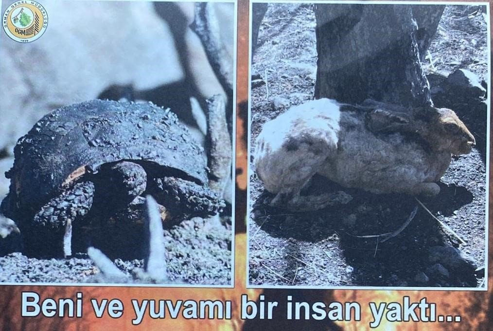 Marmaris Orman İşletme Müdürlüğü ilçeye gelen araç sürücülerini yangına karşı uyardı