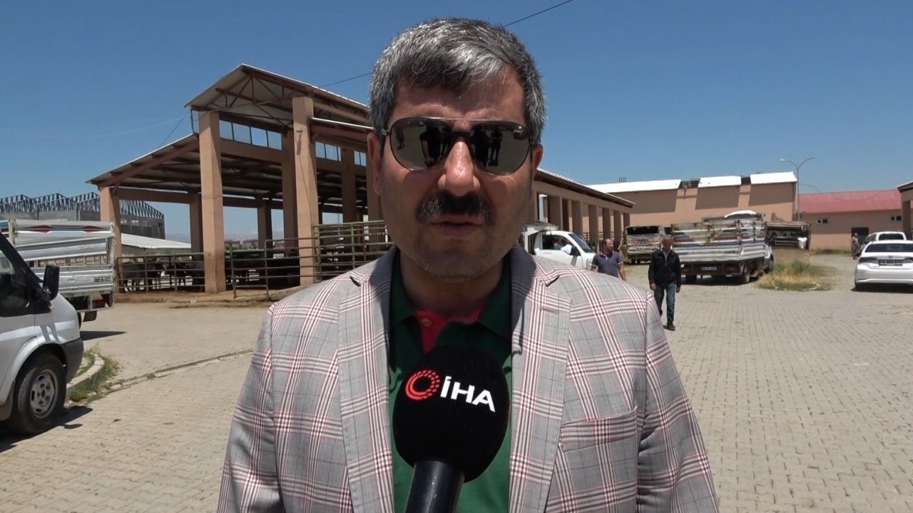 Hayvan pazarında sıkı pazarlıklar devam ediyor