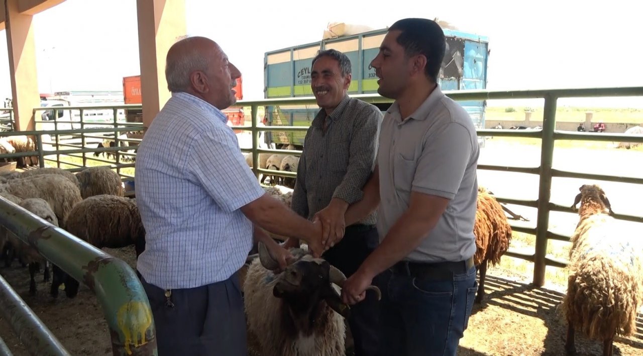 Hayvan pazarında sıkı pazarlıklar devam ediyor