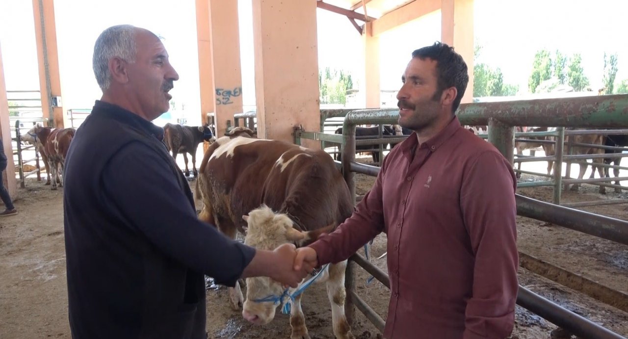 Hayvan pazarında sıkı pazarlıklar devam ediyor