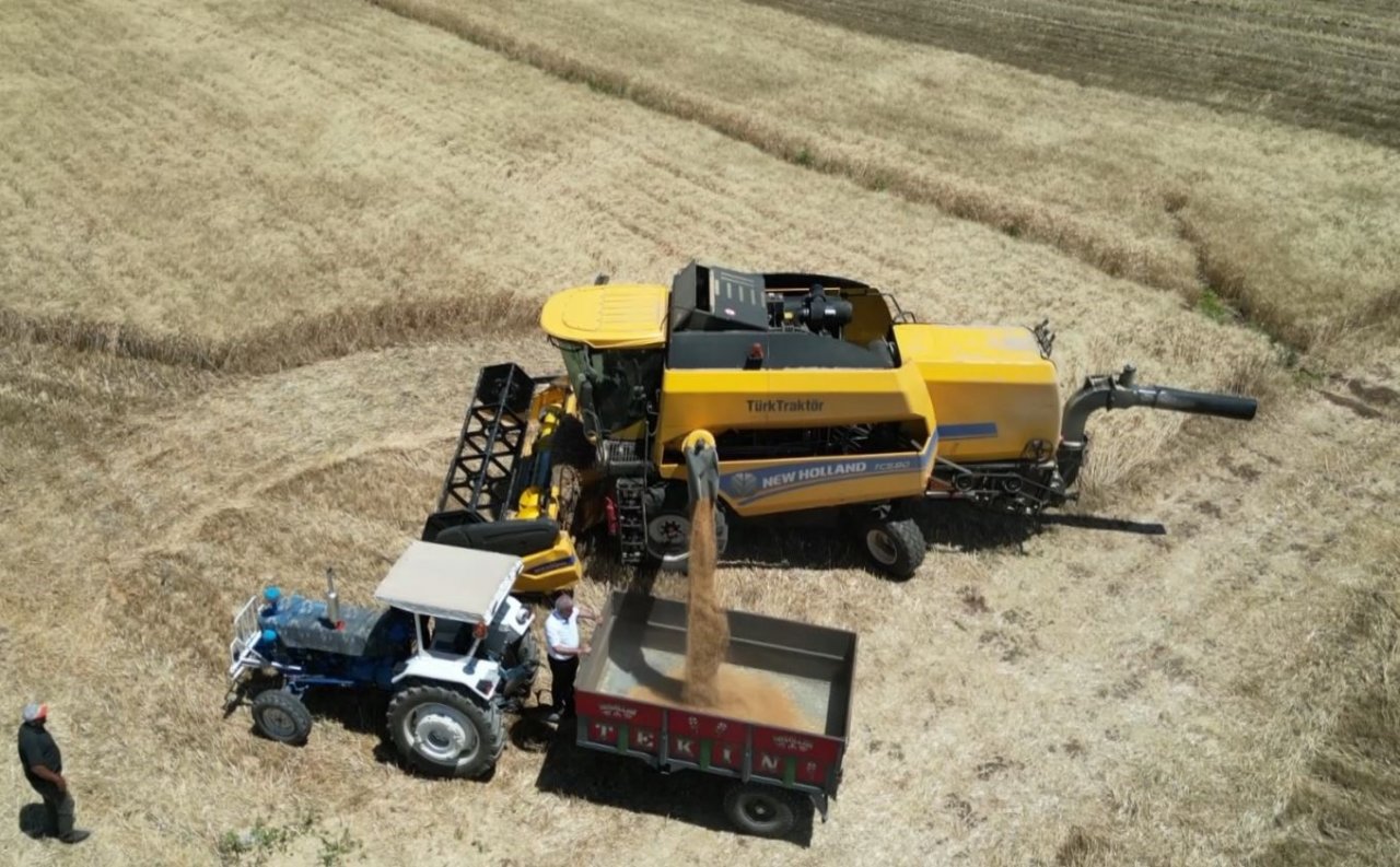 Ambarlar doldu, silolarda yer kalmayınca buğdaylar eski usülle saklanmaya başlandı