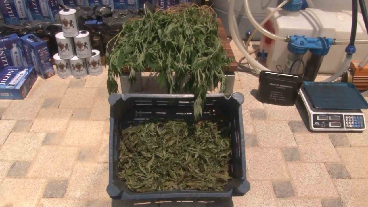 Maltepe’de 6 adrese eş zamanlı operasyon: Litrelerce sahte alkol ele geçirildi