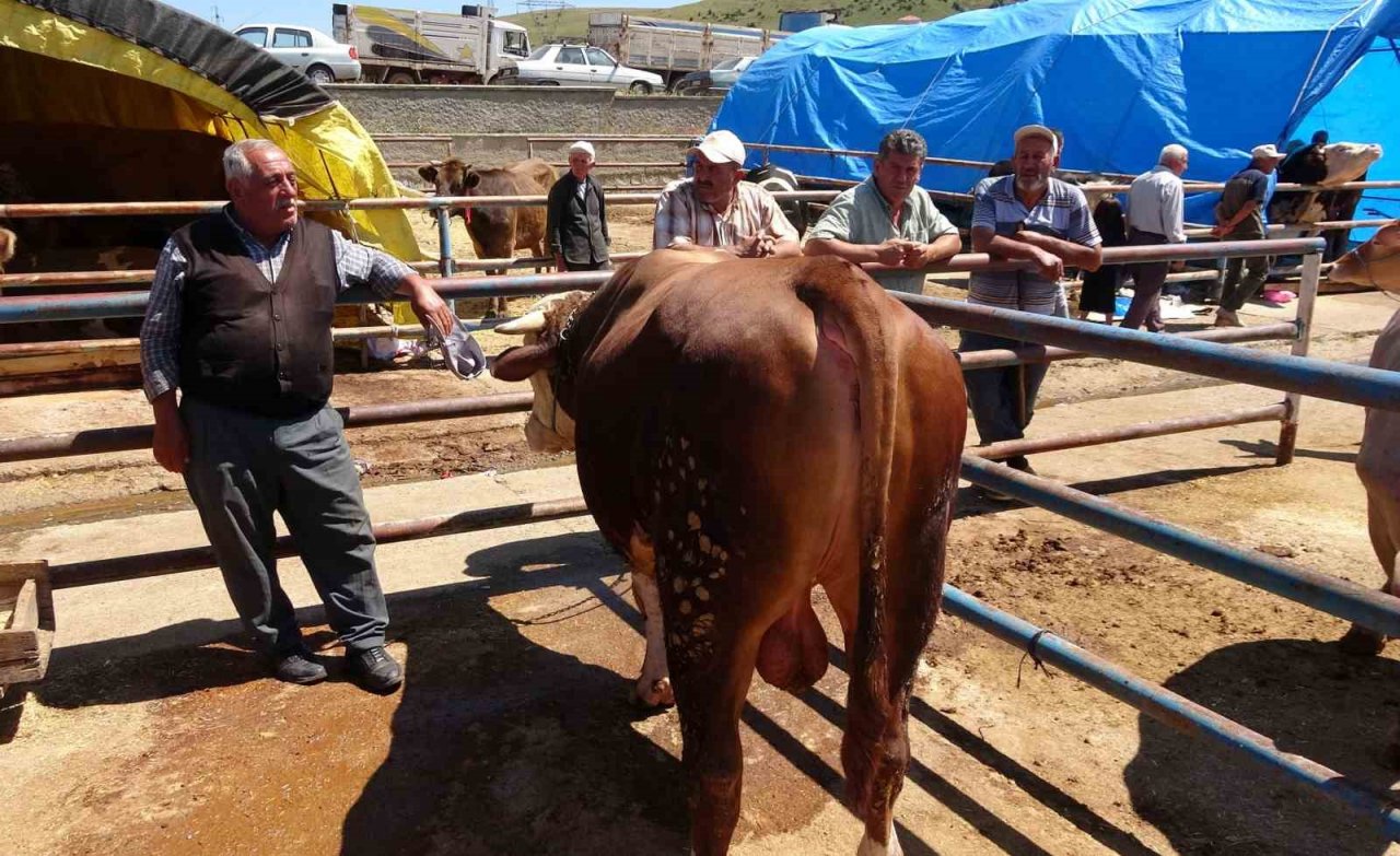 Kol koparan pazarlıklar devam ediyor