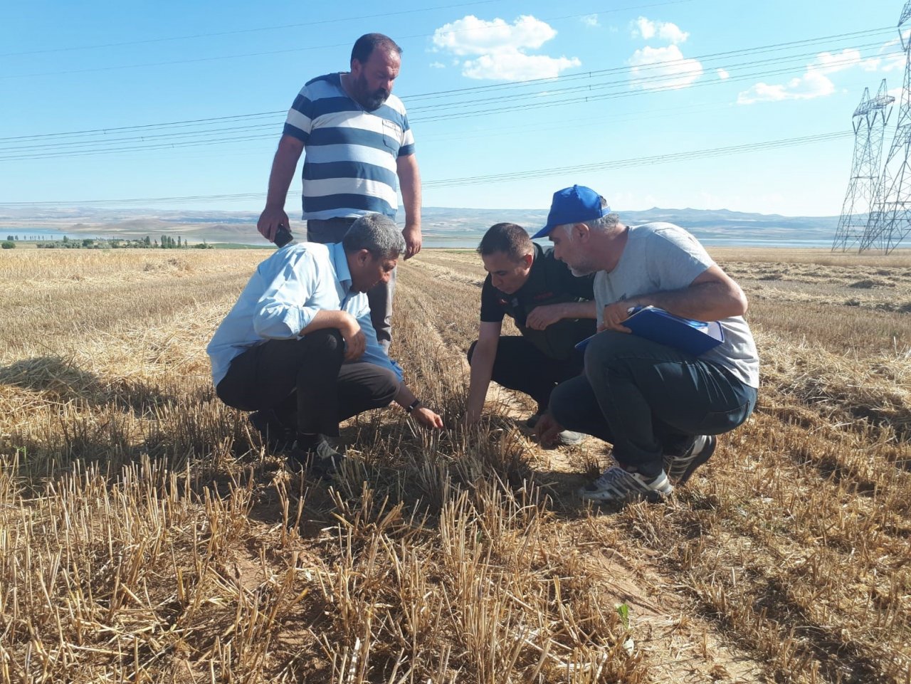 Kırşehir’de ilk tarımsal ürün hasadı yapıldı