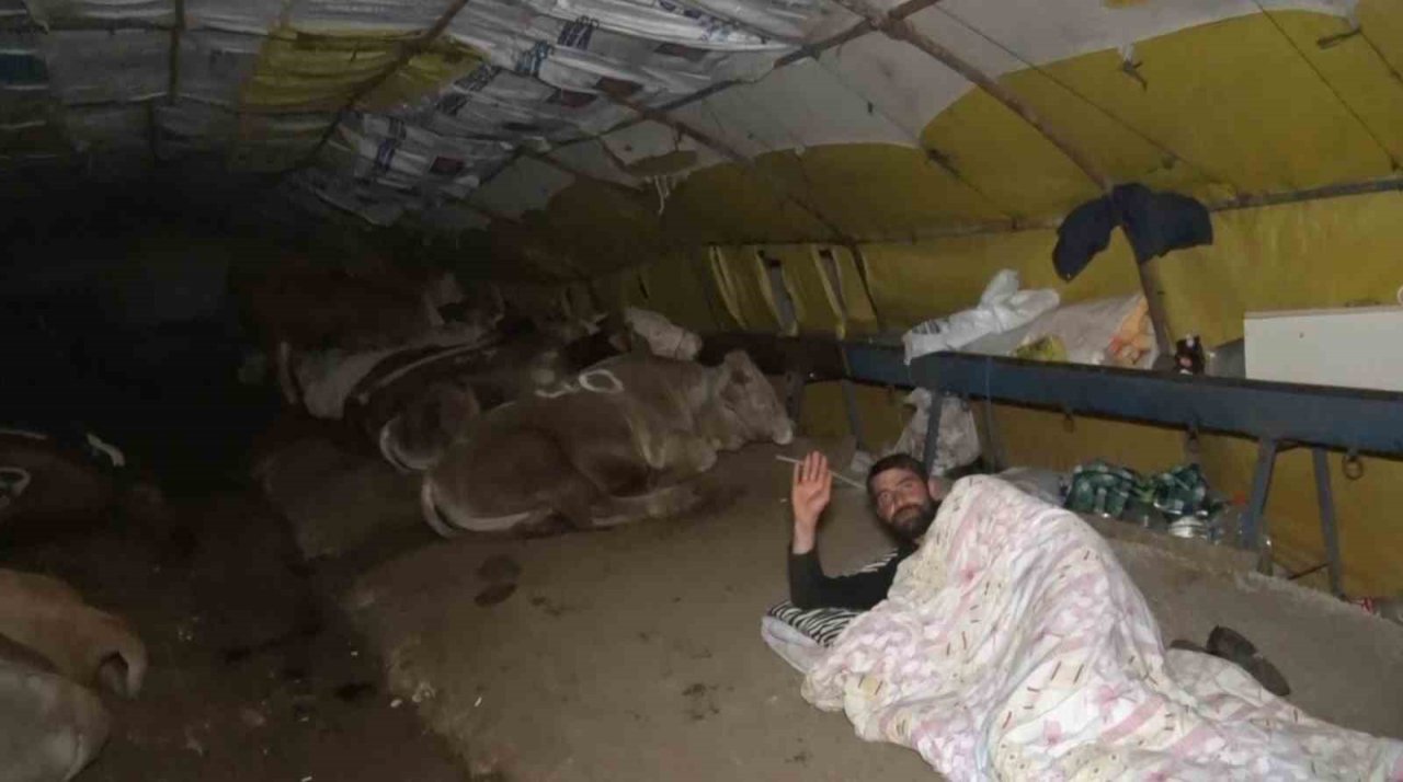 Ankara’da kurban pazarlarında gece zor geçiyor